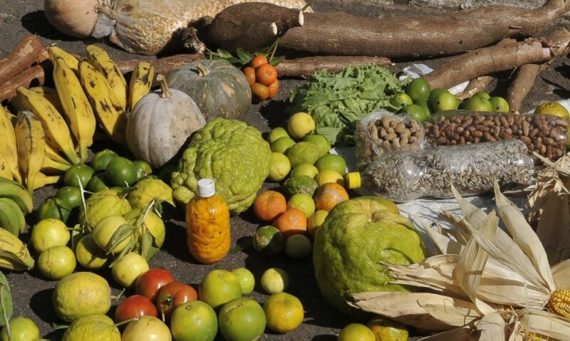 alimentos-da-agricultura-famil