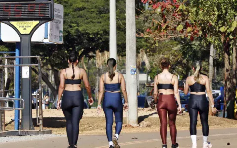 todo-o-estado-de-sao-paulo-ter