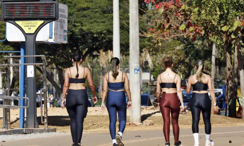 todo-o-estado-de-sao-paulo-ter