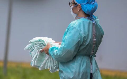 variante-k-do-virus-influenza-