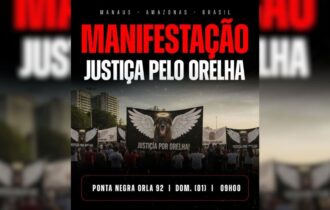 Manifestação por justiça em defesa do cachorro Orelha será realizada em Manaus