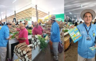 acoes-contra-mosca-da-carambol