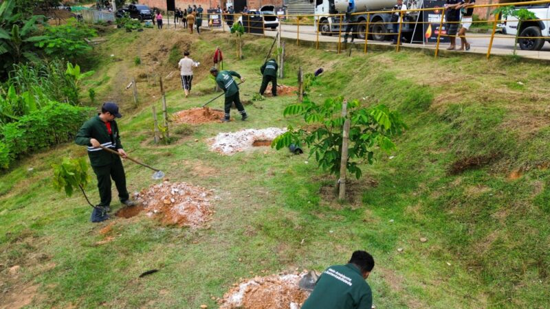 arborizacao-em-manaus-bate-met