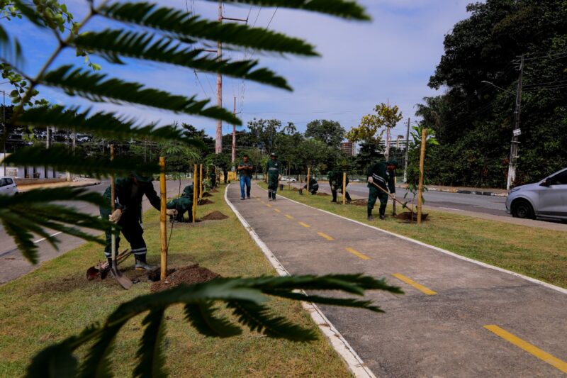 arborizacao-em-manaus-bate-met