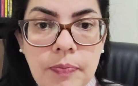 ativista-critica-mudancas-no-p