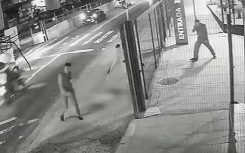 cachorro-e-morto-com-dez-tiros