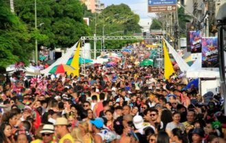 carnaval-de-manaus-tera-apoio-