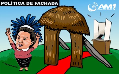 cocar-nao-e-fantasia-indigenas