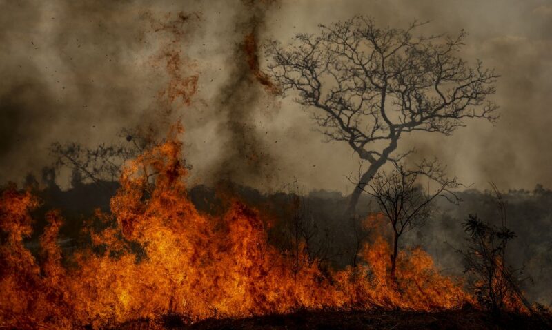 crise-ambiental-coloca-governo