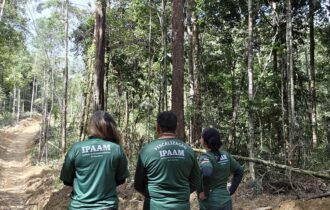 defeso-florestal-entra-em-vigo