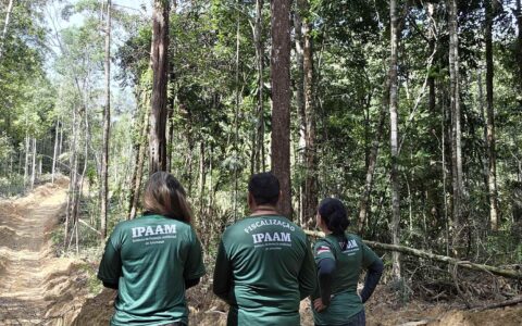 defeso-florestal-entra-em-vigo