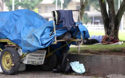 estudo-aponta-mais-365-mil-pes