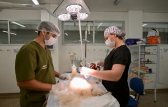 hospital-veterinario-do-amazon