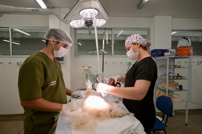 hospital-veterinario-do-amazon