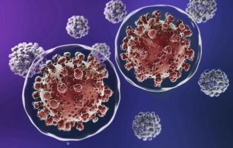 nipah-saiba-mais-sobre-o-virus