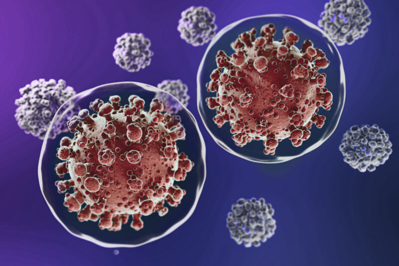 nipah-saiba-mais-sobre-o-virus