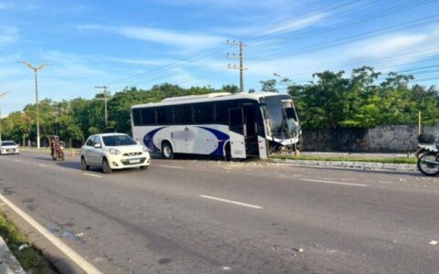 onibus-perde-controle-e-colide