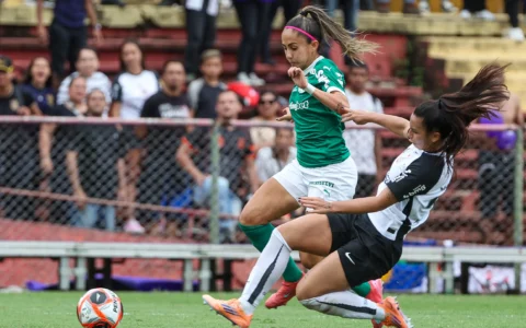 palmeiras-tera-mando-de-campo-