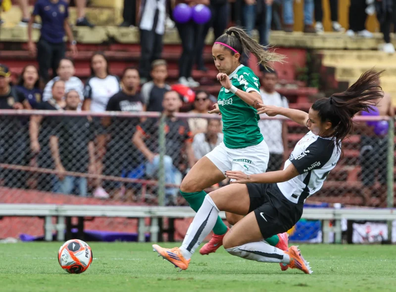 palmeiras-tera-mando-de-campo-