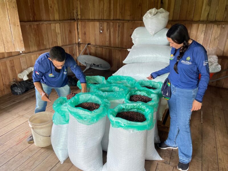 produtores-de-cacau-do-rio-jur