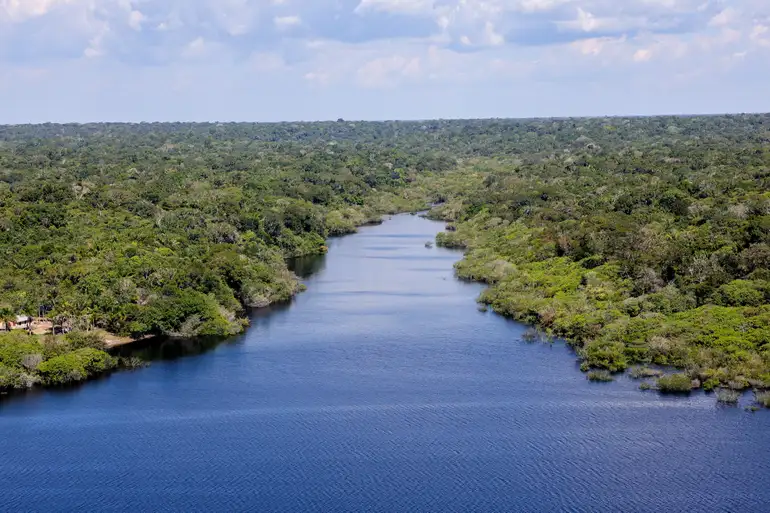 revista-amazonia-futuro-em-foc