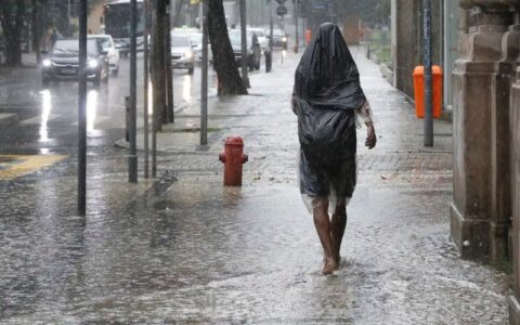 amazonas-entra-em-alerta-laran