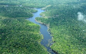 amazonas-tem-menor-numero-de-a