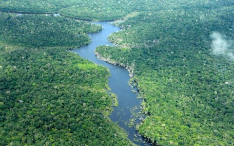 amazonas-tem-menor-numero-de-a