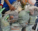 cesta-basica-fica-mais-barata-