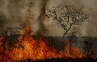 crise-ambiental-coloca-governo