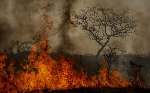 crise-ambiental-coloca-governo