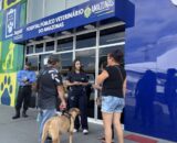hospital-publico-veterinario-d