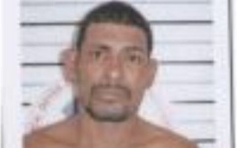 iml-procura-por-familiares-de-