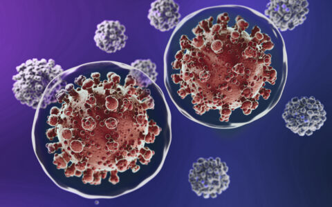 nipah-saiba-mais-sobre-o-virus