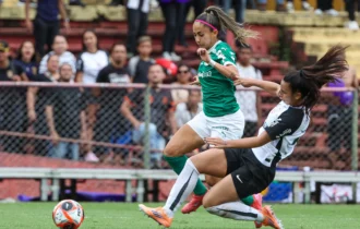 palmeiras-tera-mando-de-campo-