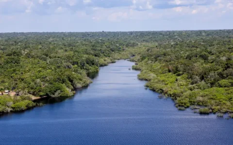 revista-amazonia-futuro-em-foc