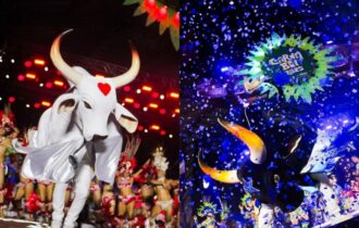 carnaval-na-floresta-2026-carn