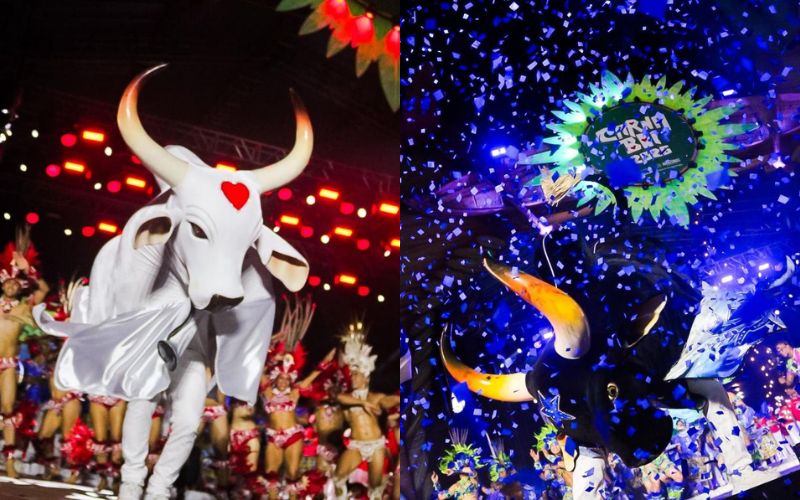 carnaval-na-floresta-2026-carn