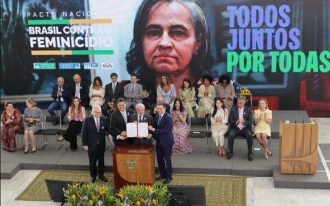 comite-contra-feminicidio-anal