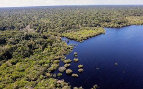 plano-clima-e-lancado-como-gui