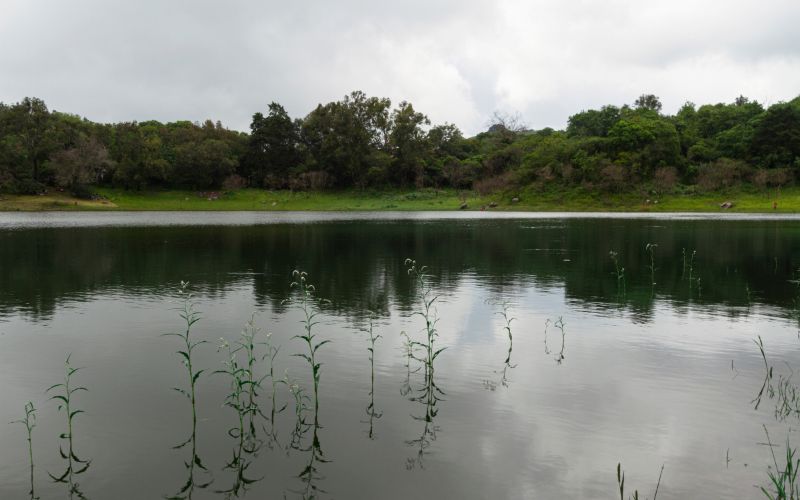 varzeas-e-igapos-do-amazonas-e