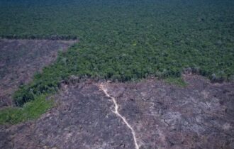 amazonia-legal-desmatamento-pr
