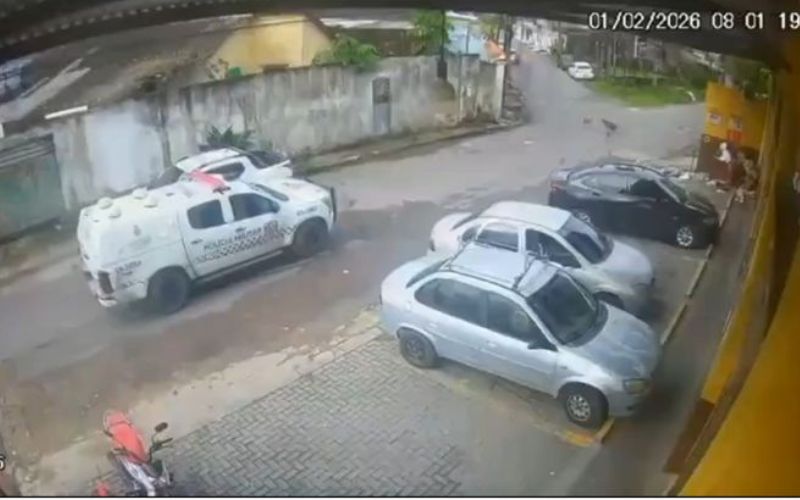 cachorros-morrem-apos-serem-at