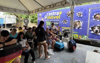 mutirao-de-castracao-ocorre-no