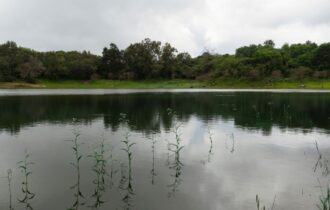 varzeas-e-igapos-do-amazonas-e