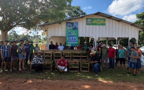 agricultores-recebem-61-mil-mu