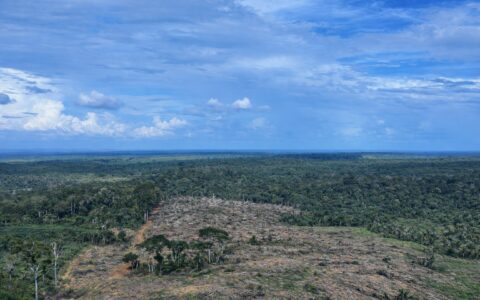 ipaam-embarga-area-em-apui-e-a