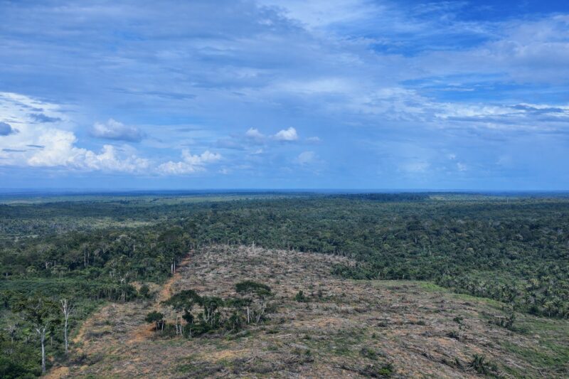 ipaam-embarga-area-em-apui-e-a
