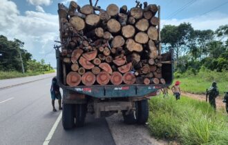 ipaam-realiza-apreensao-de-cam