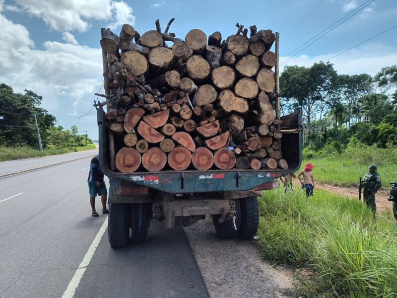 ipaam-realiza-apreensao-de-cam